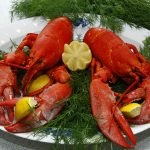 Live Lobsters Make A Great Holiday Party Meal